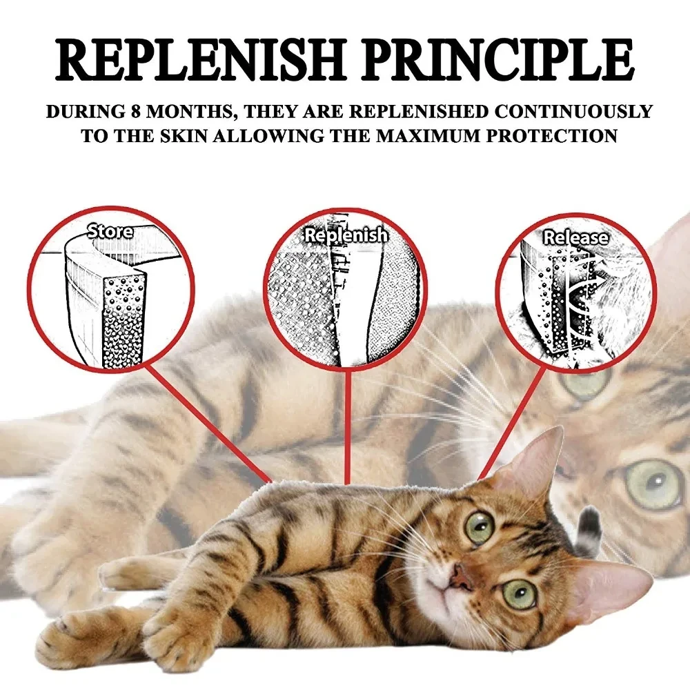 FleaShield Collar