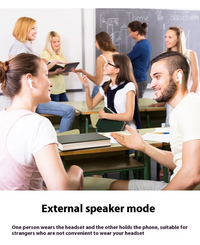 Luniva Translator Pods