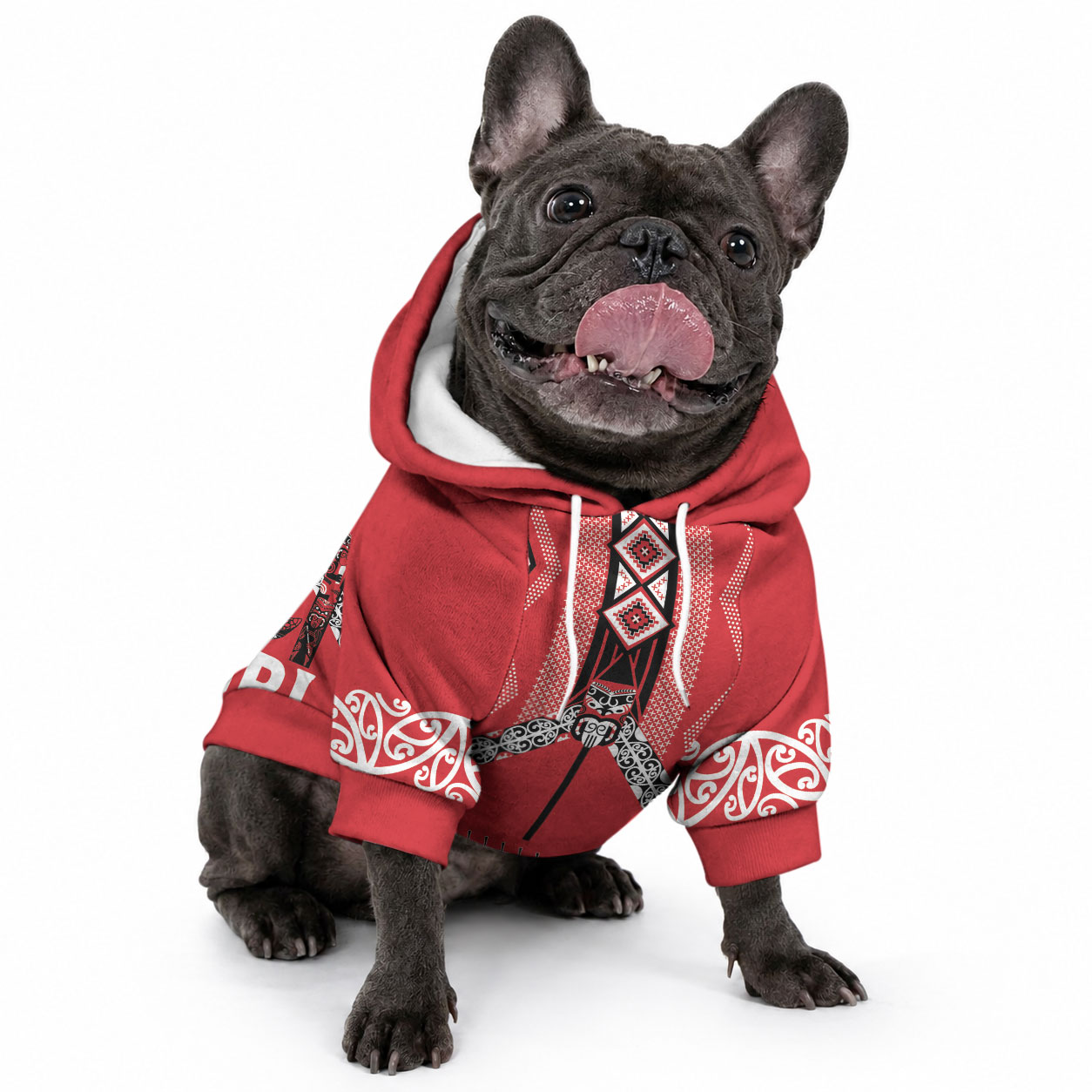 Toitu Te Tiriti Waitangi Pet Hoodie Red Wharenui House