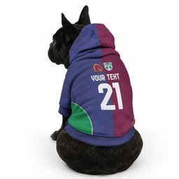 Custom Warriors-Broncos Pet Hoodie Together Sporty Style
