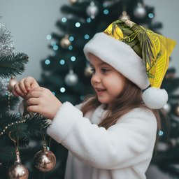 New Zealand Bellbird Christmas Santa Hat With Kowhai Flowers