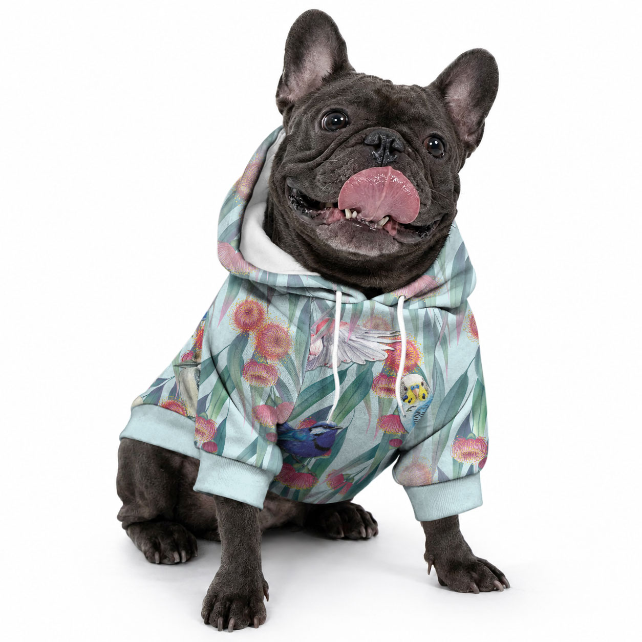National Bird Week - Aussie Birds on Eucalyptus Pet Hoodie Sky Blue