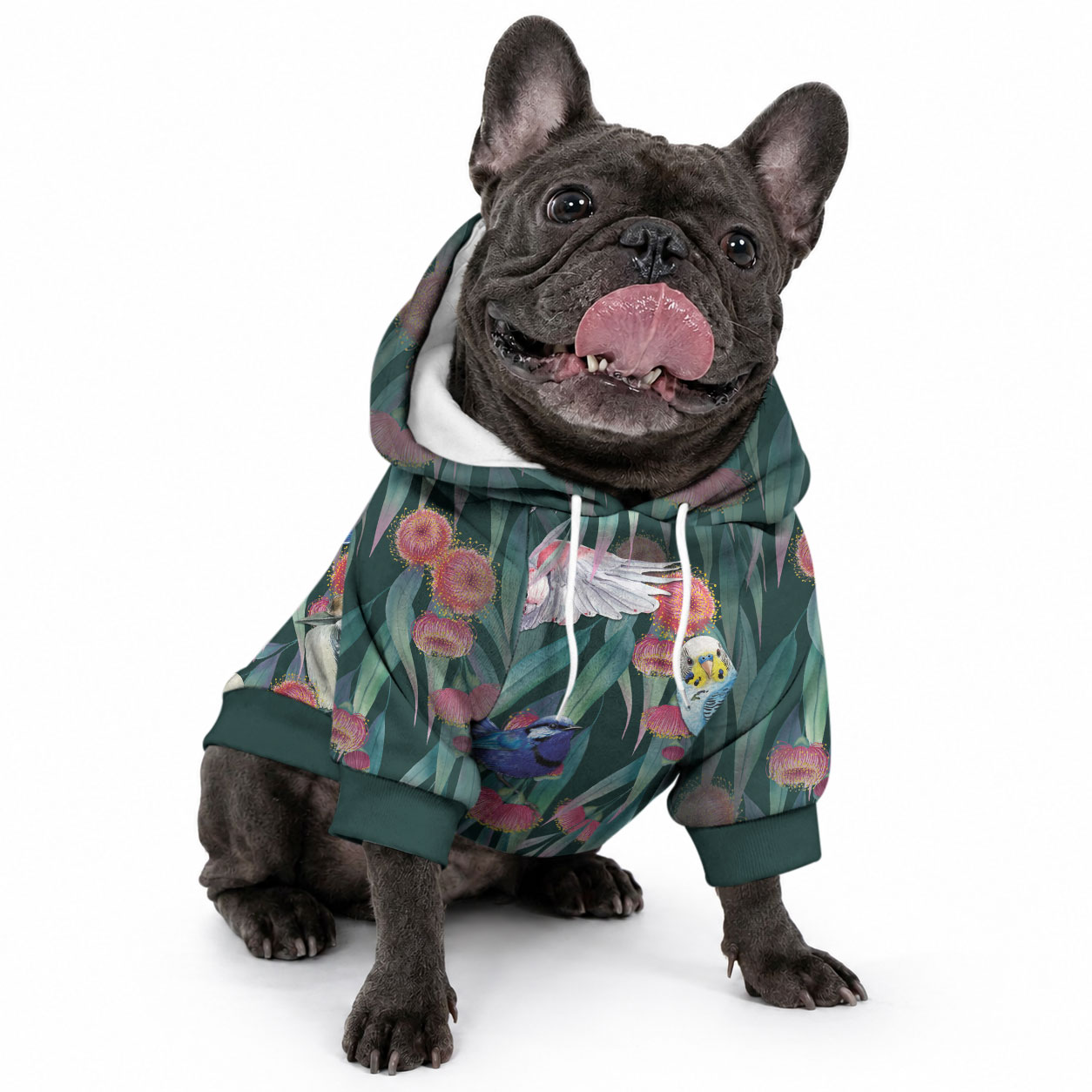Australia Native Birds on Eucalyptus Pet Hoodie Dark Teal