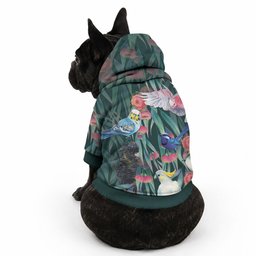 Australia Native Birds on Eucalyptus Pet Hoodie Dark Teal
