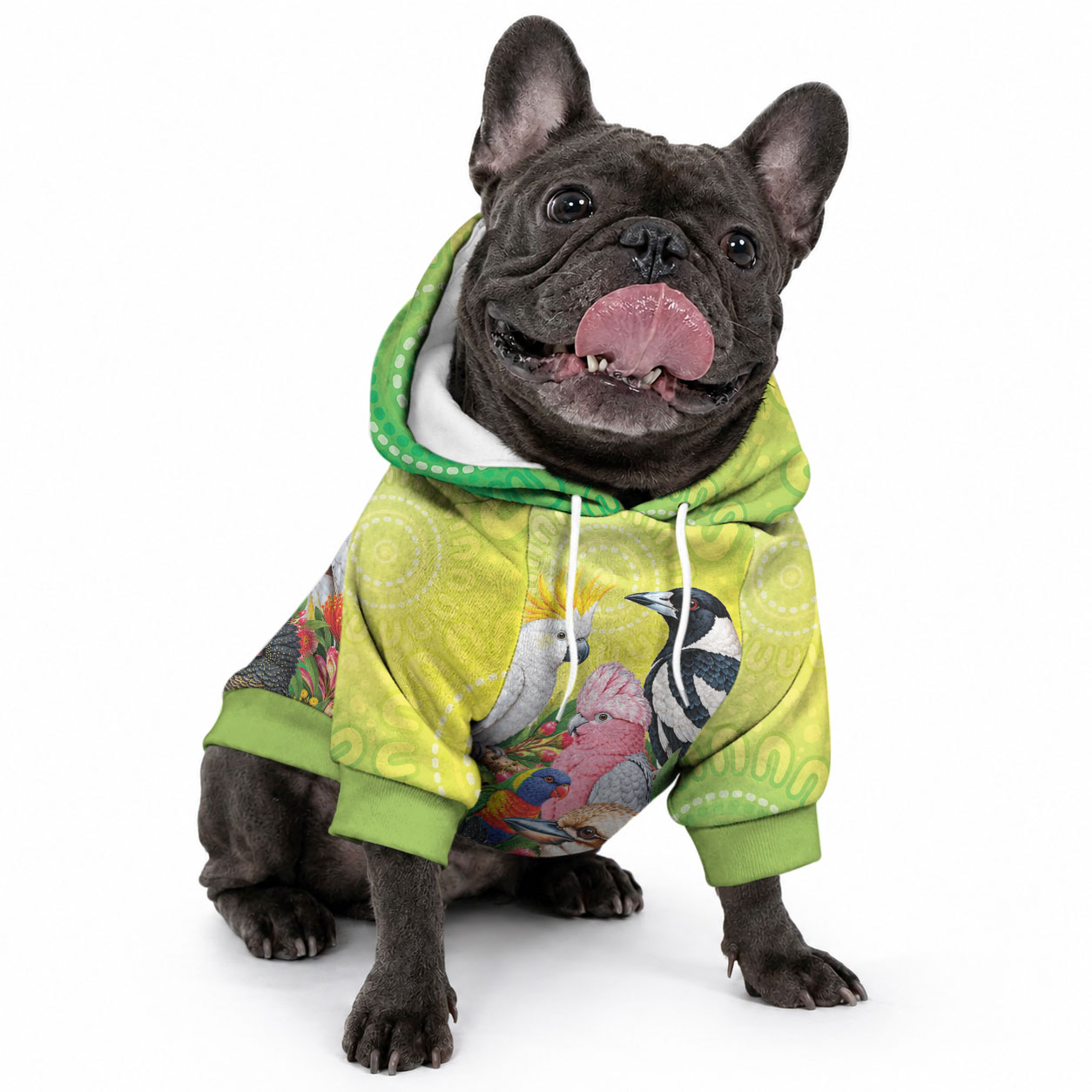 Australian Native Birds Pet Hoodie Art Dot Painting Pattern