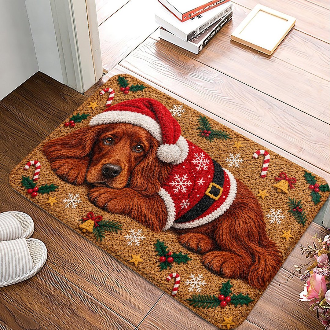 Irish setter