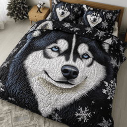 Frost Friend 3-Piece Quilted Bedding Set NCU0PVL315