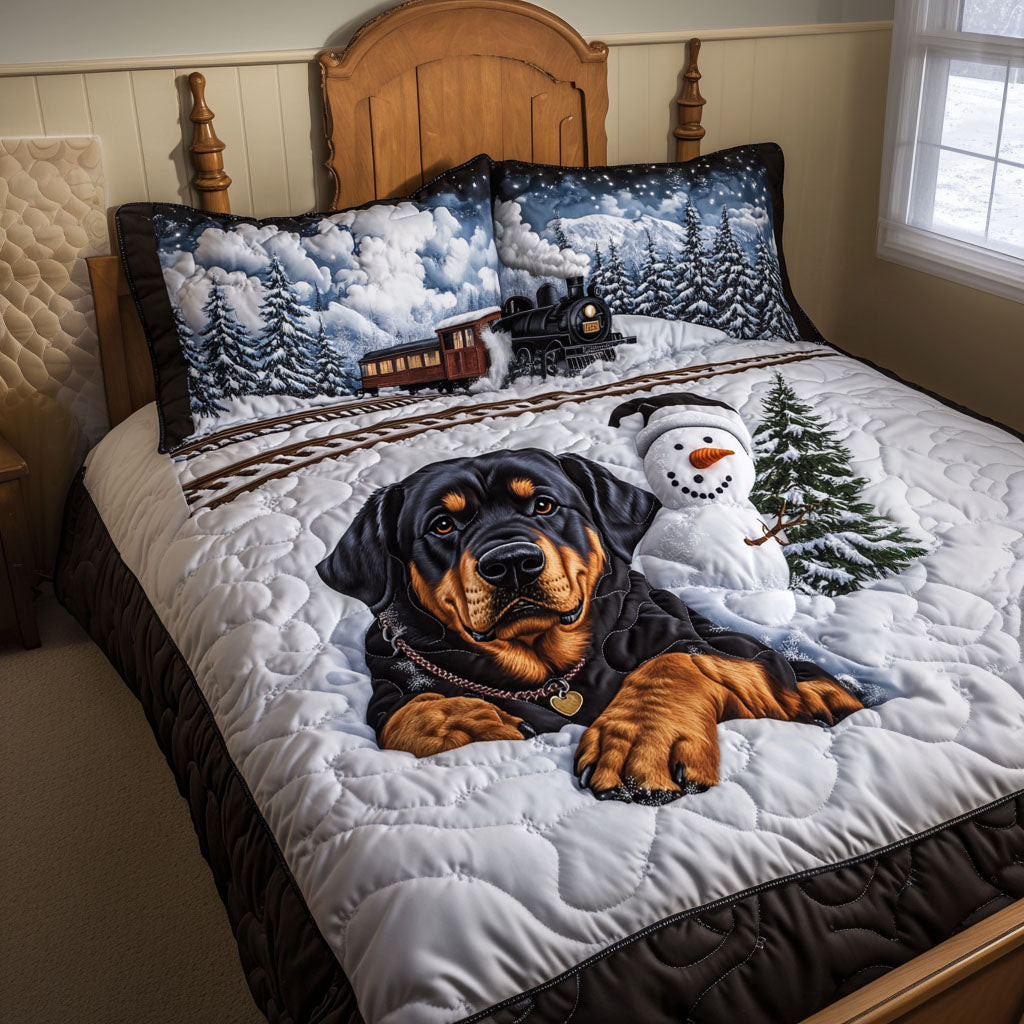 Snow Patrol 3-Piece Quilted Bedding Set NCU0NNT640