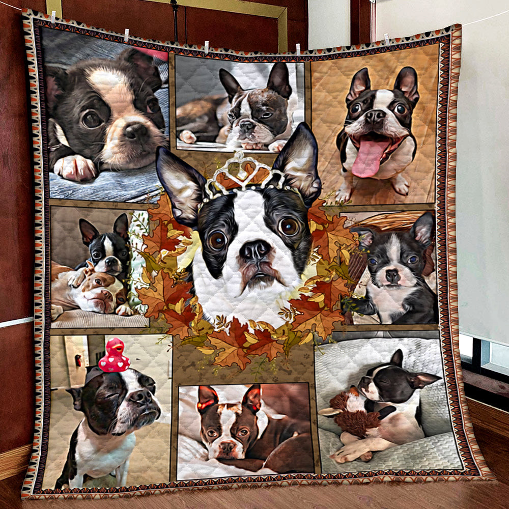 Boston Terrier Happy Thanksgiving Quilt Blanket MN281003