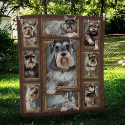 Miniature Schnauzer Frame CL09100121MDQ Quilt Blanket