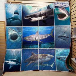 Shark CLH0711352Q Quilt Blanket