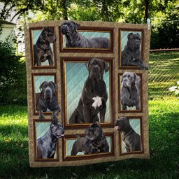 Cane Corso Frame CL09100076MDQ Quilt Blanket
