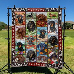 Dachshund YH2910618 Quilt Blanket