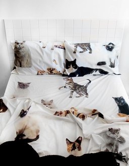 Cat CLM2810114B Bedding Sets