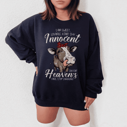 I Am Sweet Loveable Kind Shy Innocent Sweatshirt