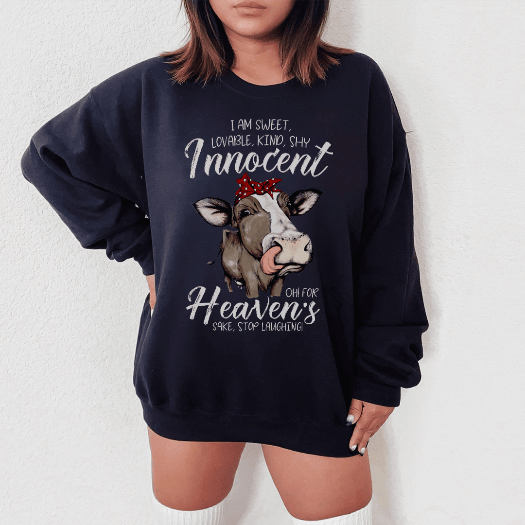 I Am Sweet Loveable Kind Shy Innocent Sweatshirt
