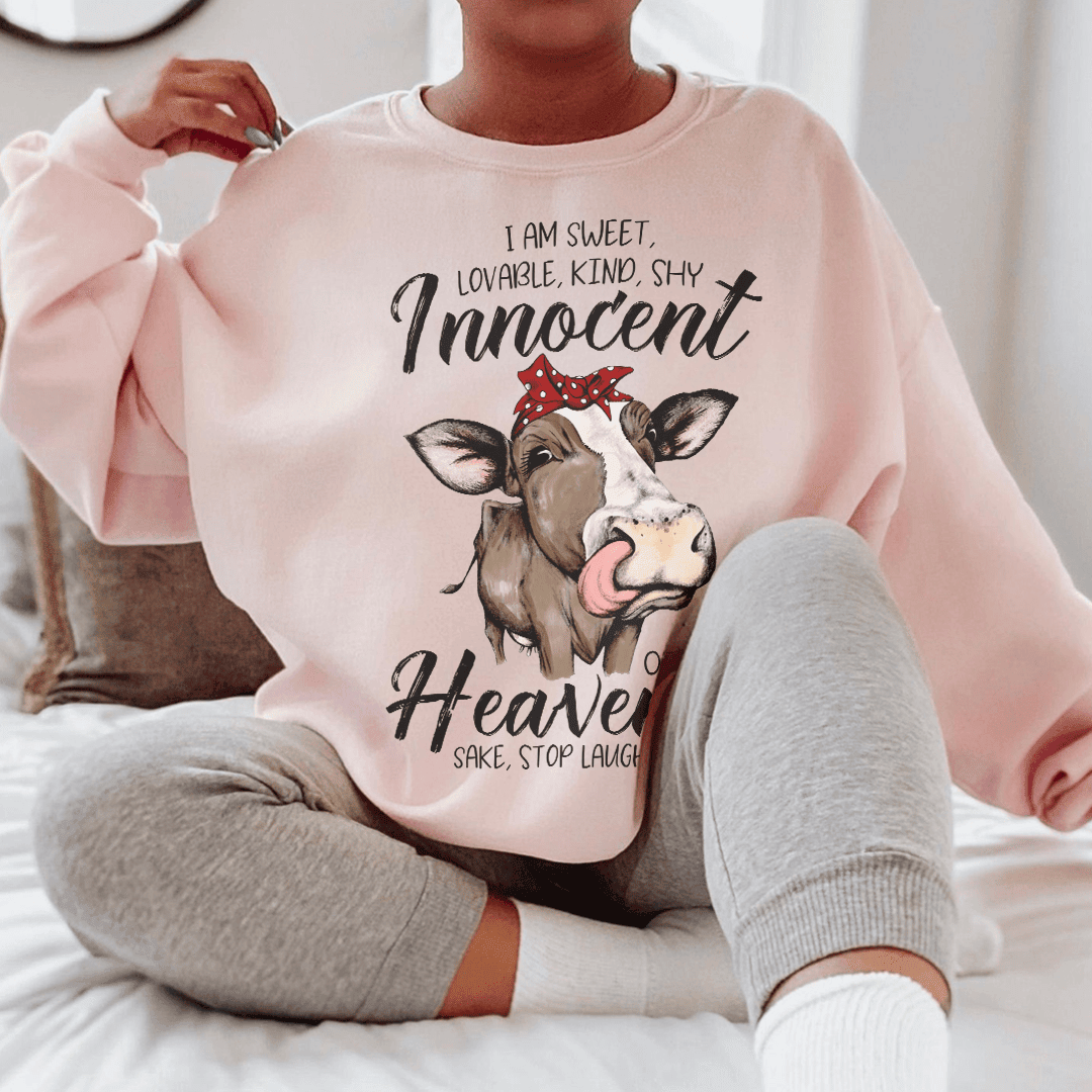 I Am Sweet Loveable Kind Shy Innocent Sweatshirt