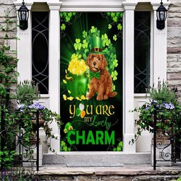 Poodle You Are My Lucky Charm Irish Saint Patrick's Day Door Cover, Patricks Day Home Door, Patrick Day Home Decor