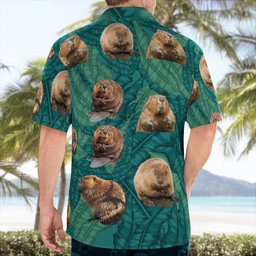 Beaver AOP Hawaii Shirt