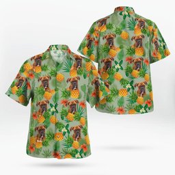 Boxer Hawaii Shirt