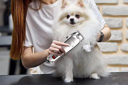 CuttiGogi Dog Clipper - Precision Carbon Steel Blades For Perfect Cuts Every Time
