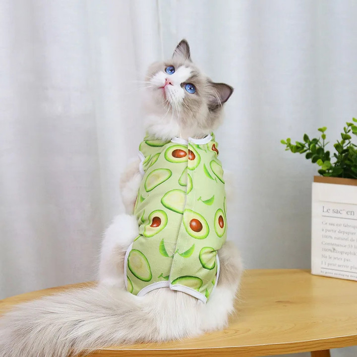 Female Cat Sterilization & Post-Surgery Suit – Anti-Licking Elastic Weaning Clothing for Cats
