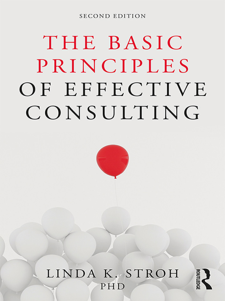 The Basic Principles of Effective Consulting 2nd Edition - Dollayoby