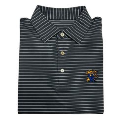Kentucky Wildcats Merch Peter Millar Crafty Stripe Polo Shirt Wildcats Pride Clothing