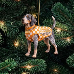 Tennessee Volunteers Smokey Dog Christmas Ornament Volunteers Game Xmas Ornament_