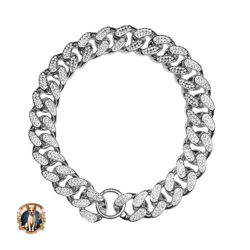 ABS Plastic Dog Collar Chain Diamond Inlay Sparkle Bulldog Necklace Cat Collars Pet Accessories Small Medium Large Dogs Golden