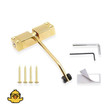 Trending Silent Adjustable Automatic Door Closer