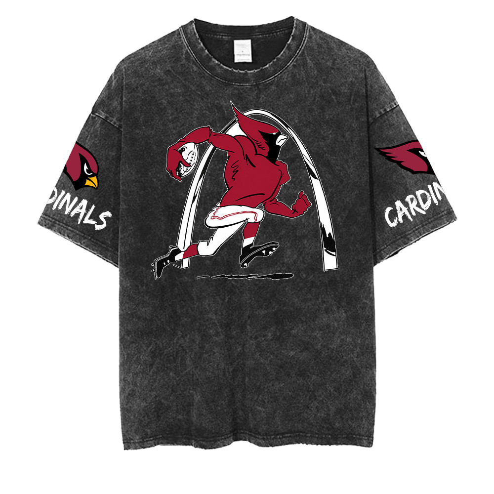 Arizona Cardinals NFL Washed Retro Logo Shirts