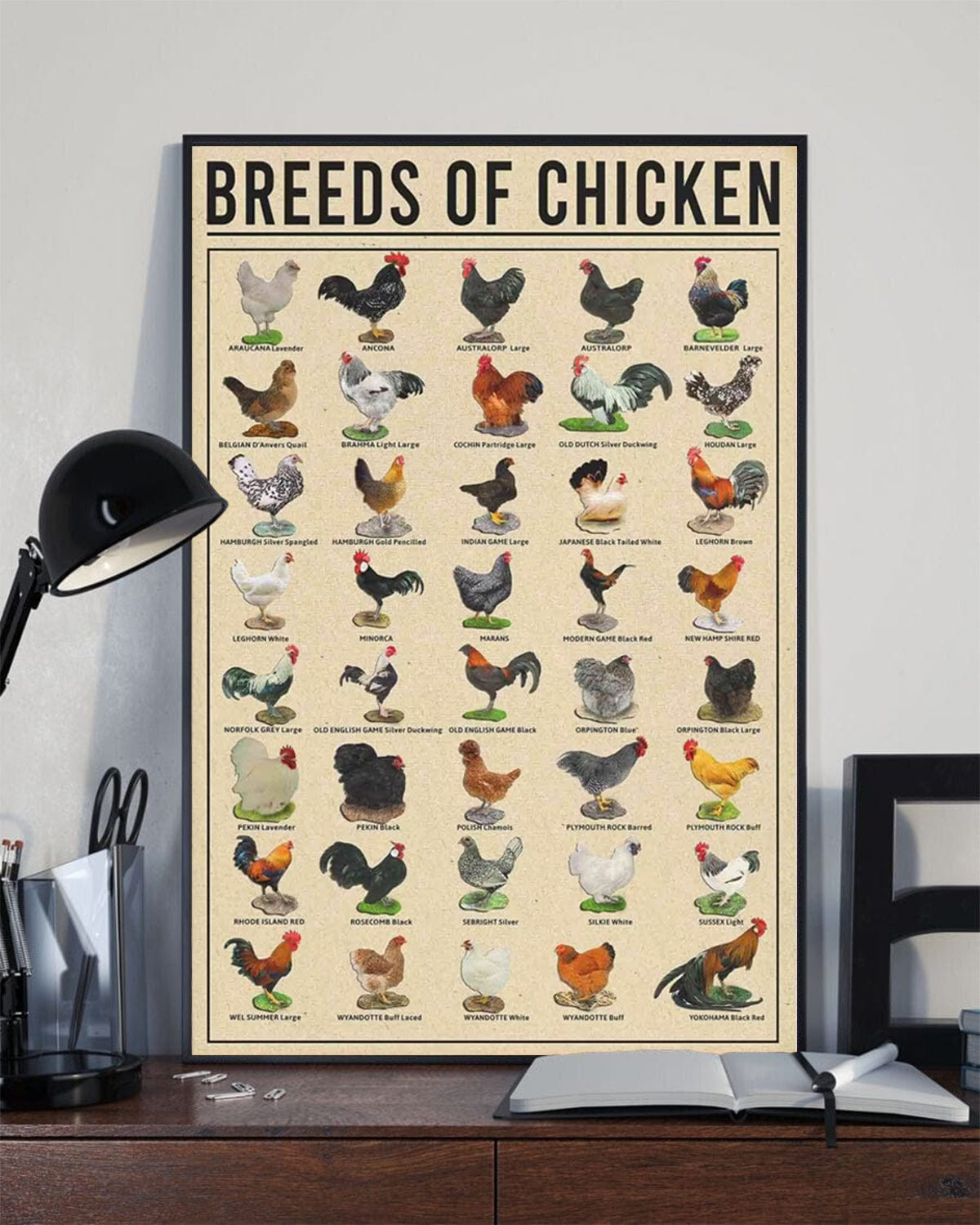 Breeds Of Chicken Poster, Canvas - Haillierowe