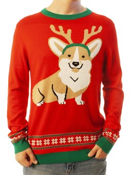 Corgi Dog
