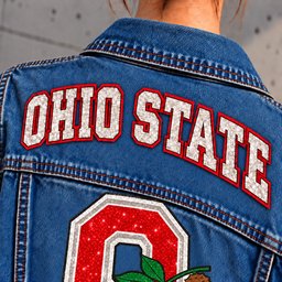 Ohio State Buckeyes Denim Jacket - Collar Detail