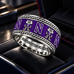 Northwestern Wildcats Stainless Steel Jewelry Ring - Angle