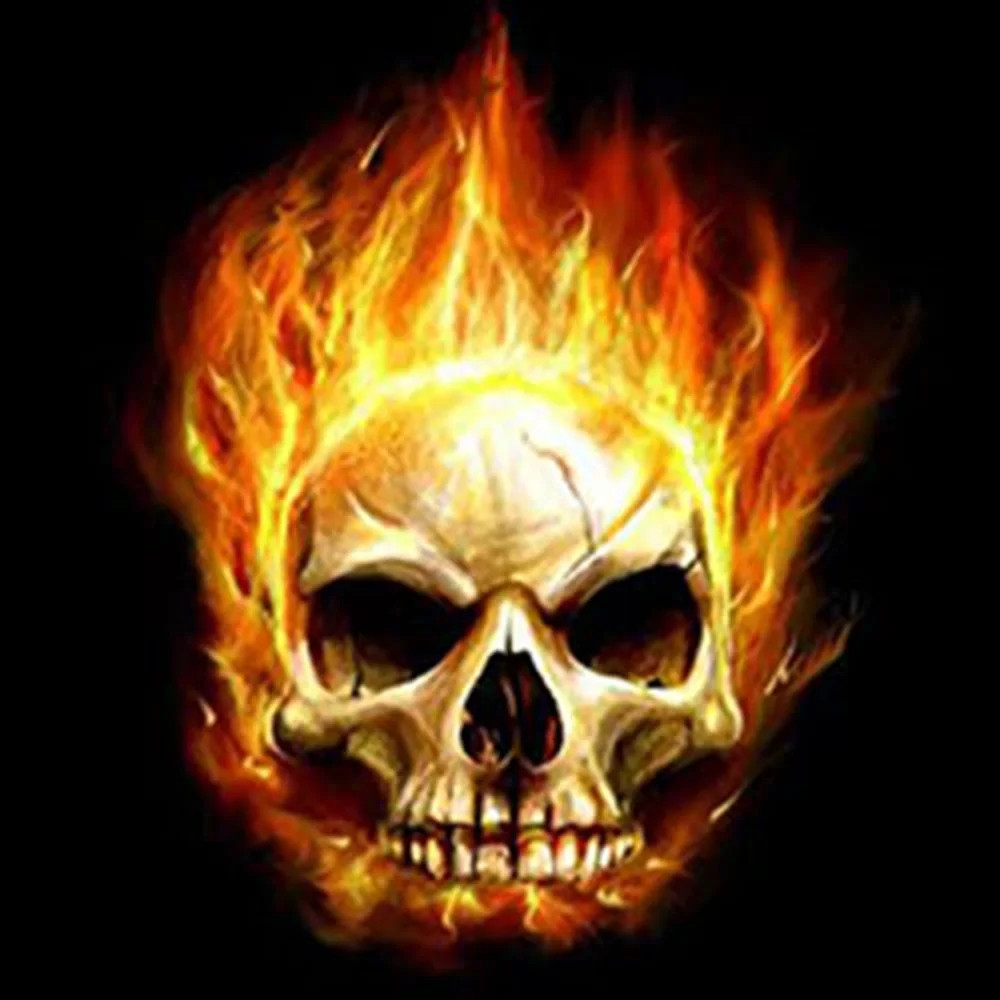 Car door projector lights wireless LED courtesy ground lights angel wing skull design USA