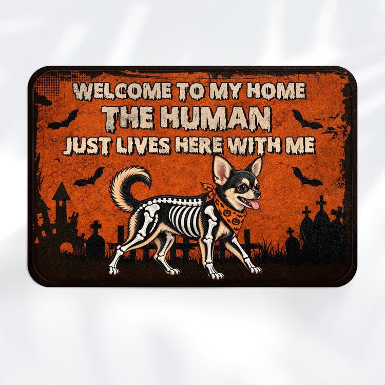 Chihuahua