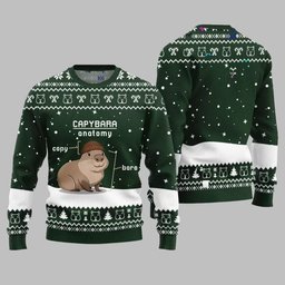 2026 Christmas Capybara Anatomy Ugly Christmas Sweater