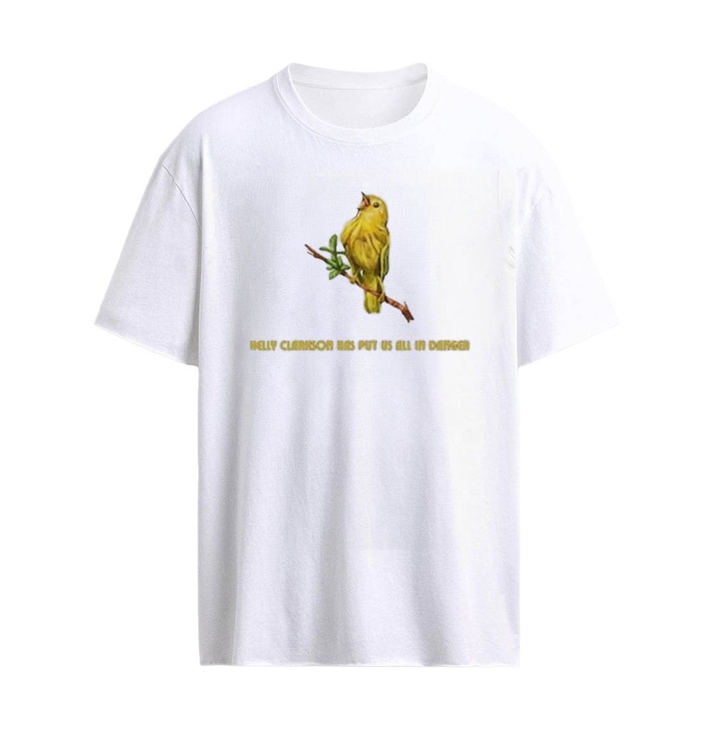 Kelly Clarkson Has Put Us All In Danger Molly Bird T-Shirt