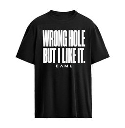 Wrong Hole but I Like It Distressed sarcastic saying T-Shirt