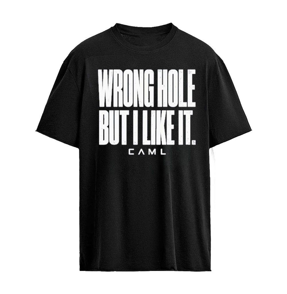 Wrong Hole but I Like It Distressed sarcastic saying T-Shirt
