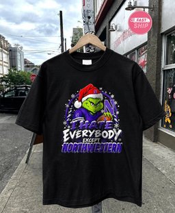 Northwestern Wildcats Santa Grinch I hate everybody except Northwestern Christmas 2026 shirt