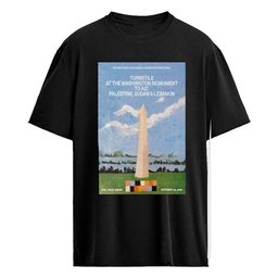 Turnstile Live in Concert October 24 2026 Washington DC Show Poster Shirt