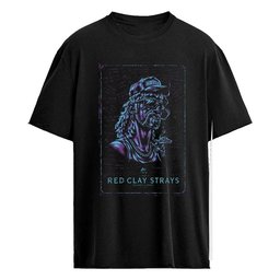 The Red Clay Strays Orlando, Florida October 14 2026 Poster Shirt
