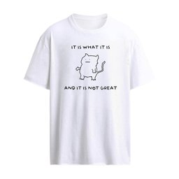It Is What It Is And It Is Not Great Shirt