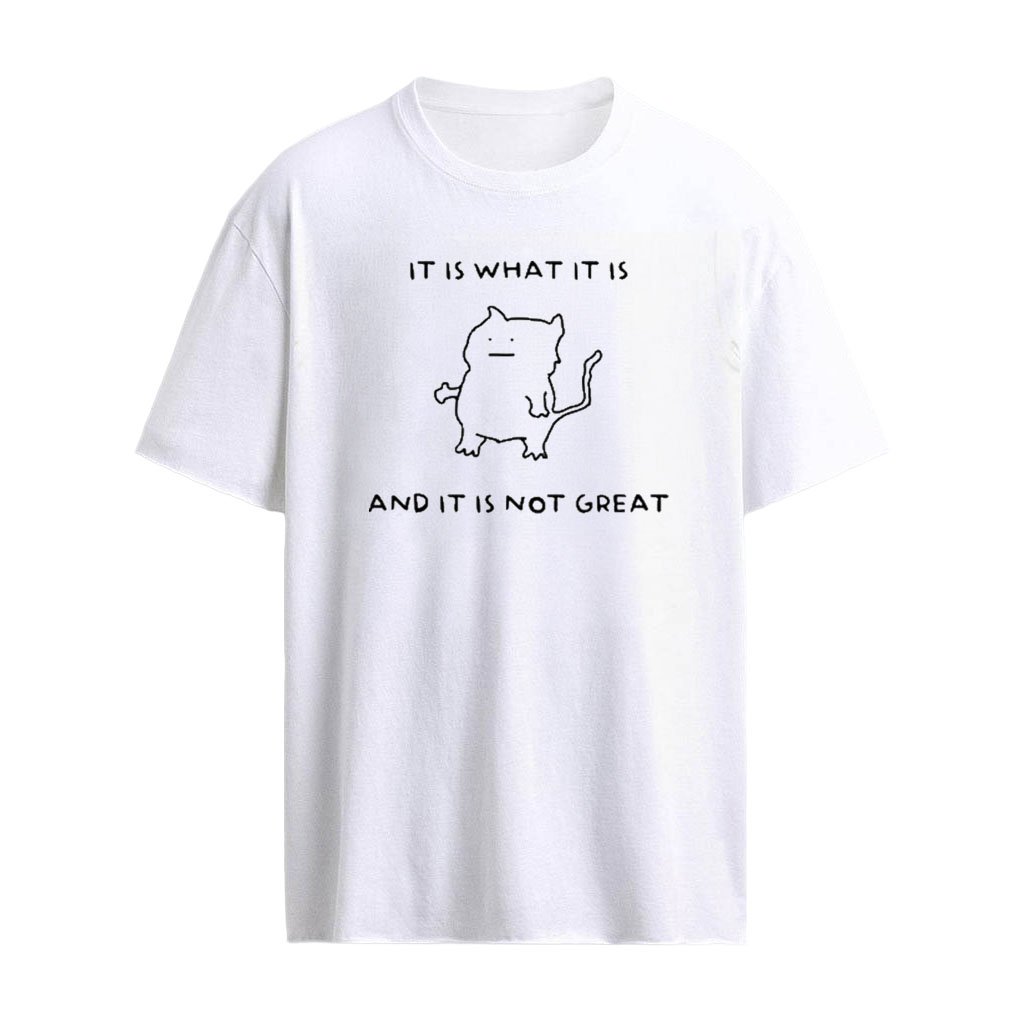 It Is What It Is And It Is Not Great Shirt