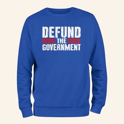 Defund The Government Sweatshirt Anti Establishment Sweatshirt Political Activist Gifts - Lilybirchmarket