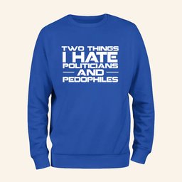 Two Things I Hate Politics And Pedophiles Hoodie Anti Politician Apparel Gifts For Men - Lilybirchmarket