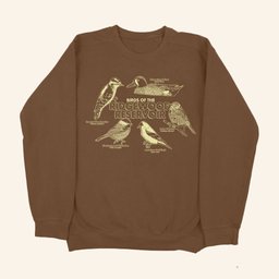 Small Orbit Merch Birds Of The Ridgewood Reservoir Sweatshirt Great Gifts For Mom - Lilybirchmarket